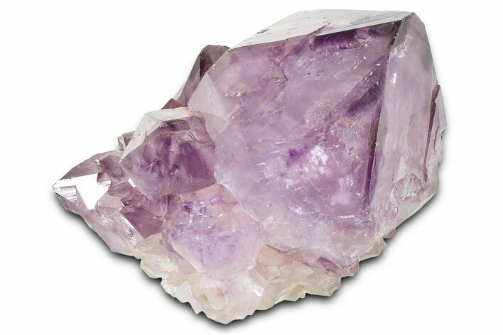 Cactus Quartz (Amethyst) Crystal - South Africa #371685